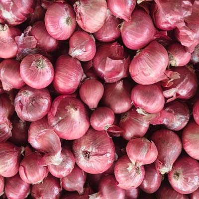 Small onion